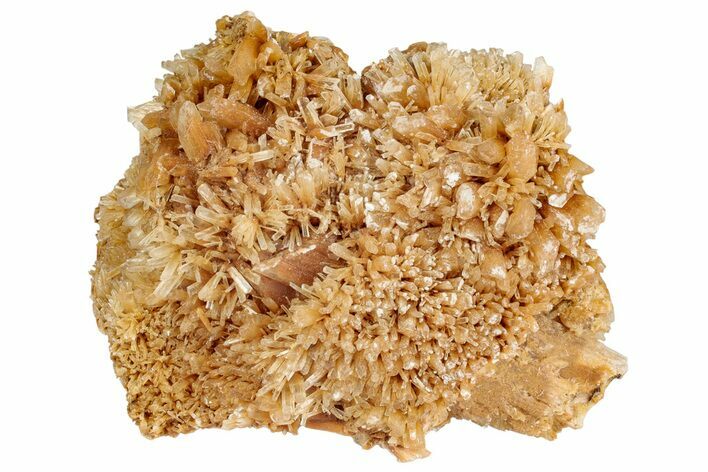 Butterscotch Selenite Crystals - Mt Gunson, Australia #239501